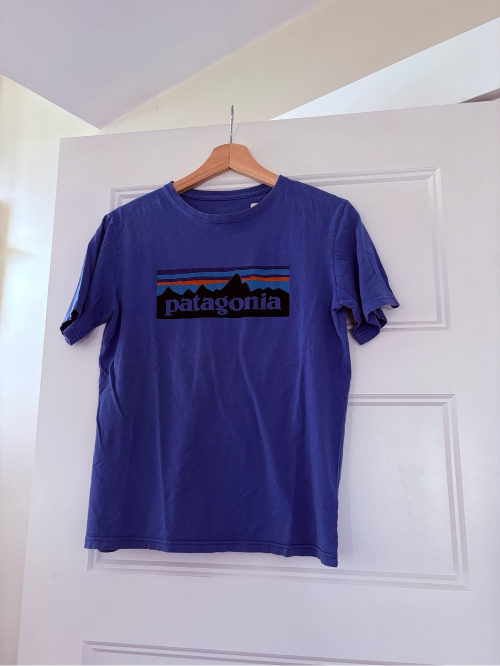 Patagonia Purple Logo Short Sleeve Tee Sz 14
